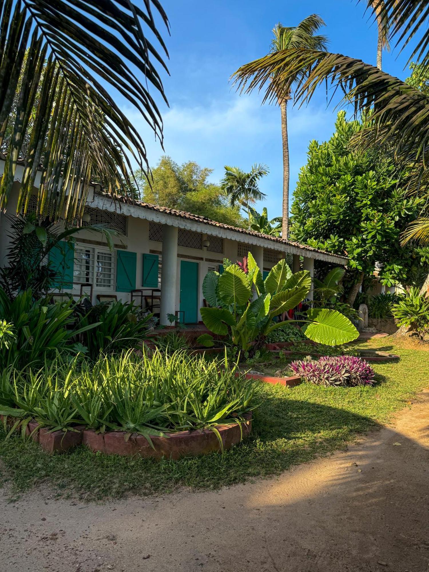 Palm Villa Mirissa Hotel&Spa Ngoại thất bức ảnh
