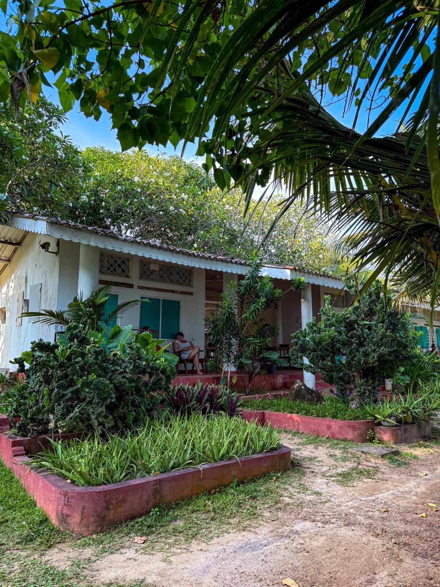 Palm Villa Mirissa Hotel&Spa Ngoại thất bức ảnh